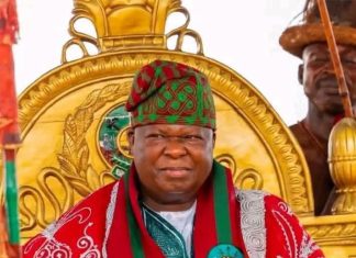 NIPSS DG Writes Gbong Gwom Jos, Expresses Regret Over Berom Remarks