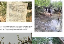 Pandam National Park: Plateau’s Hidden Treasure That Must Not Be Forgotten