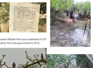 Pandam National Park: Plateau’s Hidden Treasure That Must Not Be Forgotten