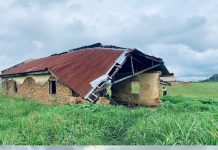 Inside Kwall’s Forgotten Classrooms: How Collapsing Schools and Teacher Shortages Are Robbing Plateau Children of Their Future