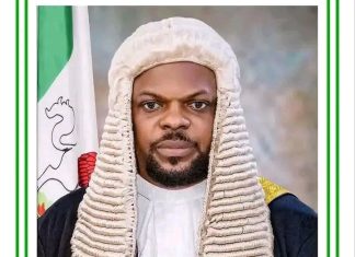 Mikang Council Chairman Celebrates Plateau Speaker Rt. Hon. Naanlong Daniel on Birthday, Hails His Resilience