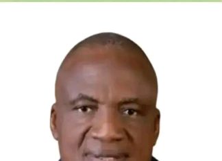 Plateau United Chairman suspends new club logo after backlash from supporters